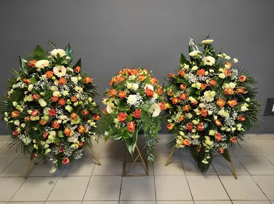 Zakręcony Tulipan Pracownia Florystyczna/Kwiaciarnia